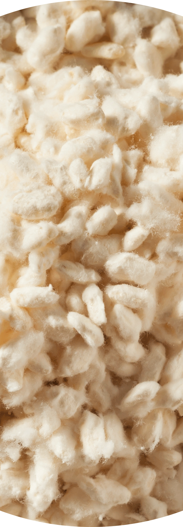 Dried Aspergillus Oryzae Fermentation Product