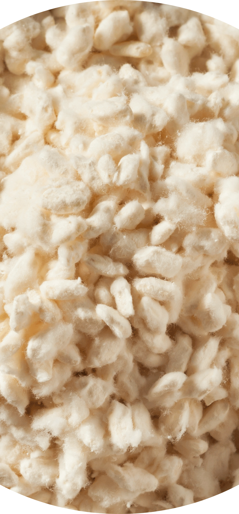 Dried Aspergillus Oryzae Fermentation Product