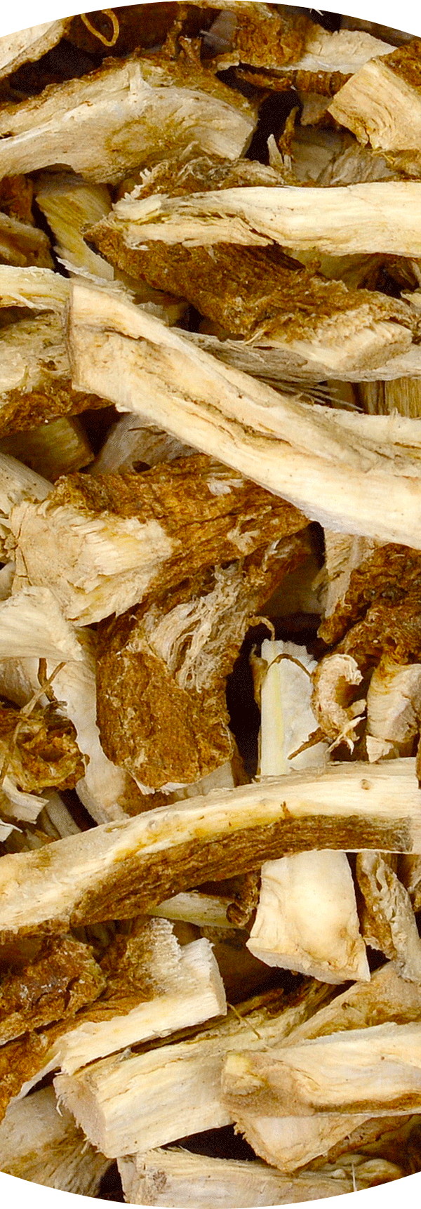 Dried Chicory Root.