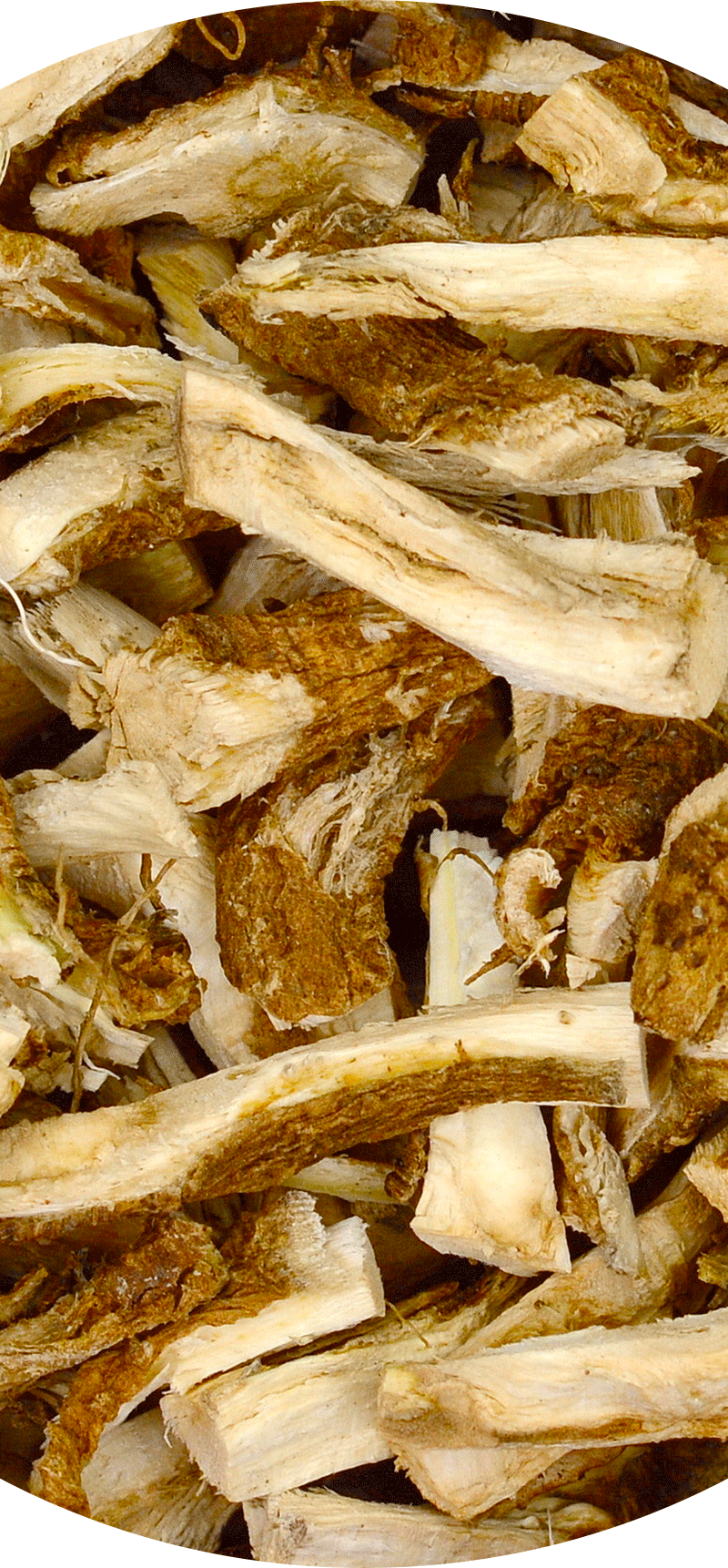 Dried Chicory Root.