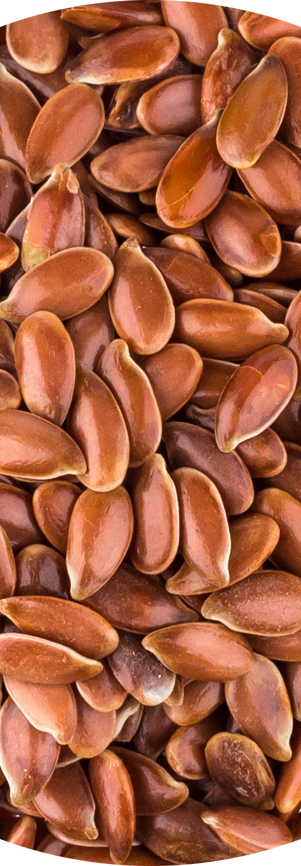 Flaxseed.