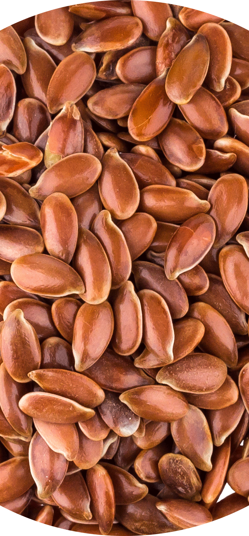Flaxseed.