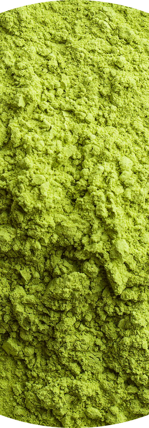Green Tea Extract