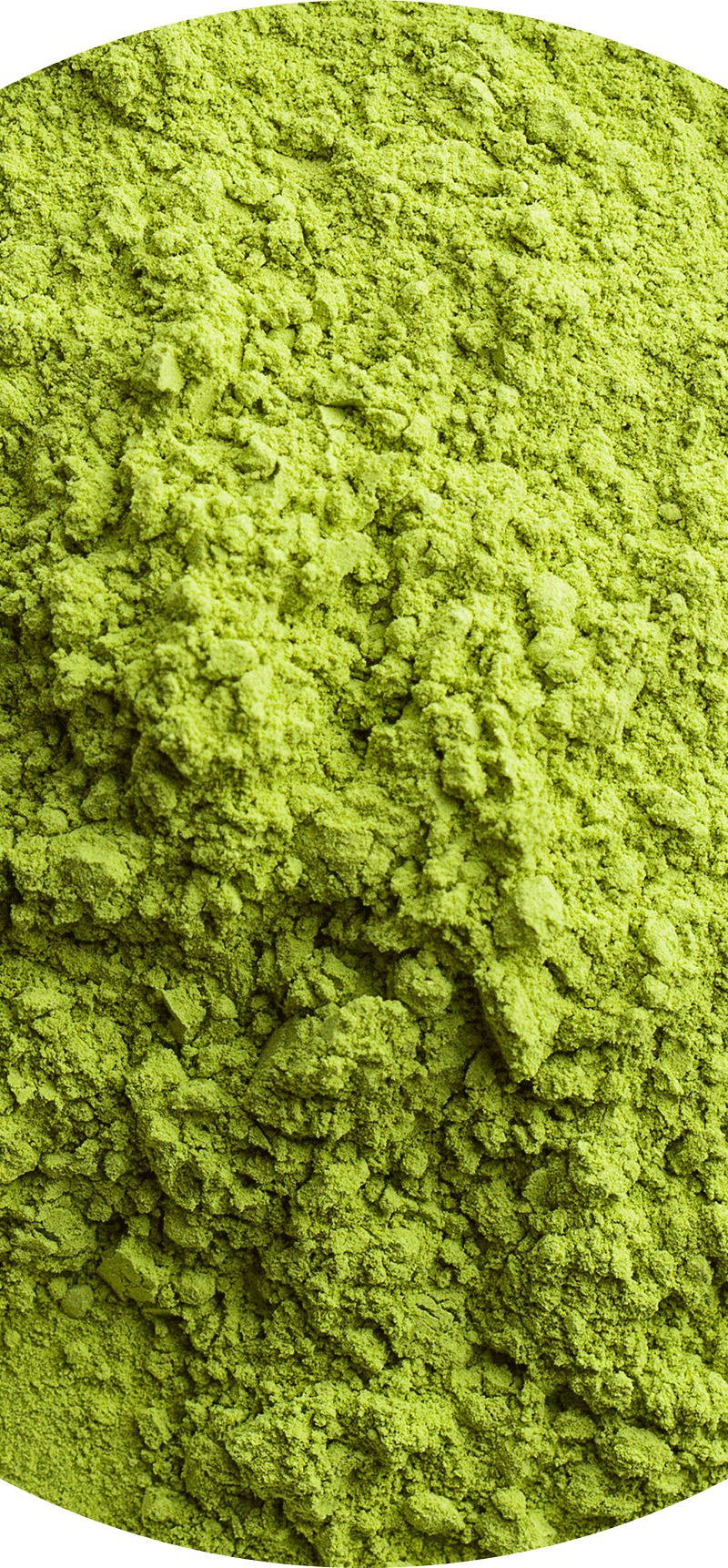 Green Tea Extract