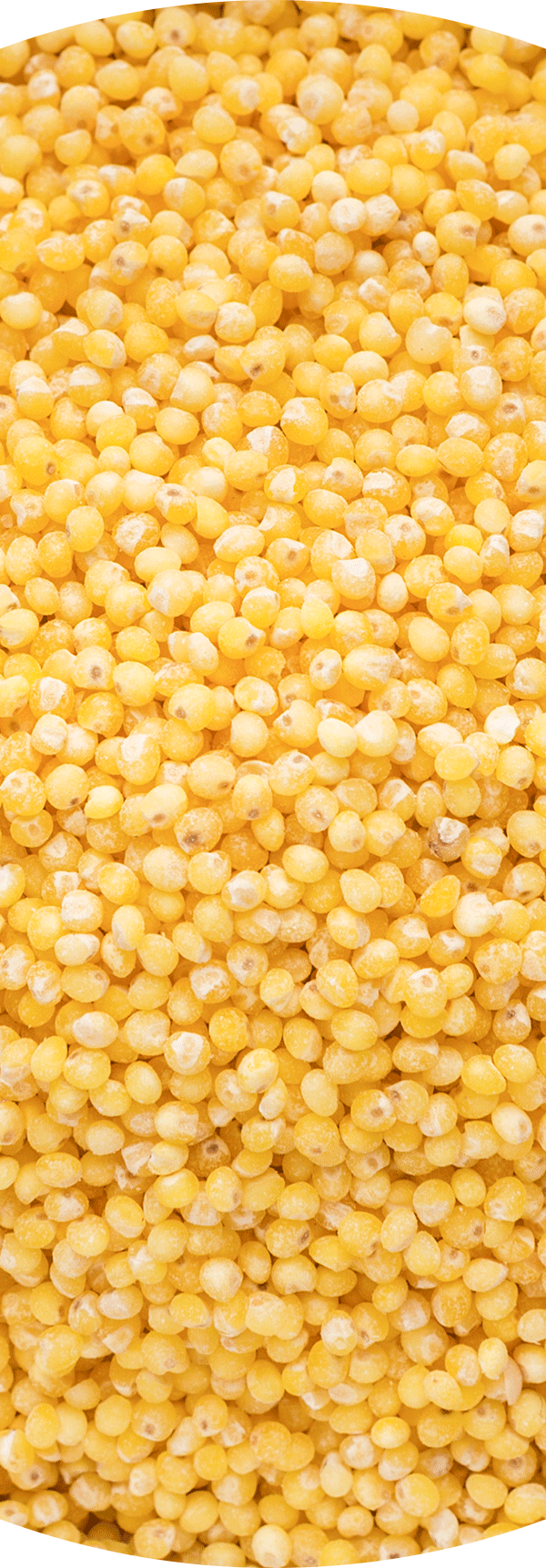 Millet.