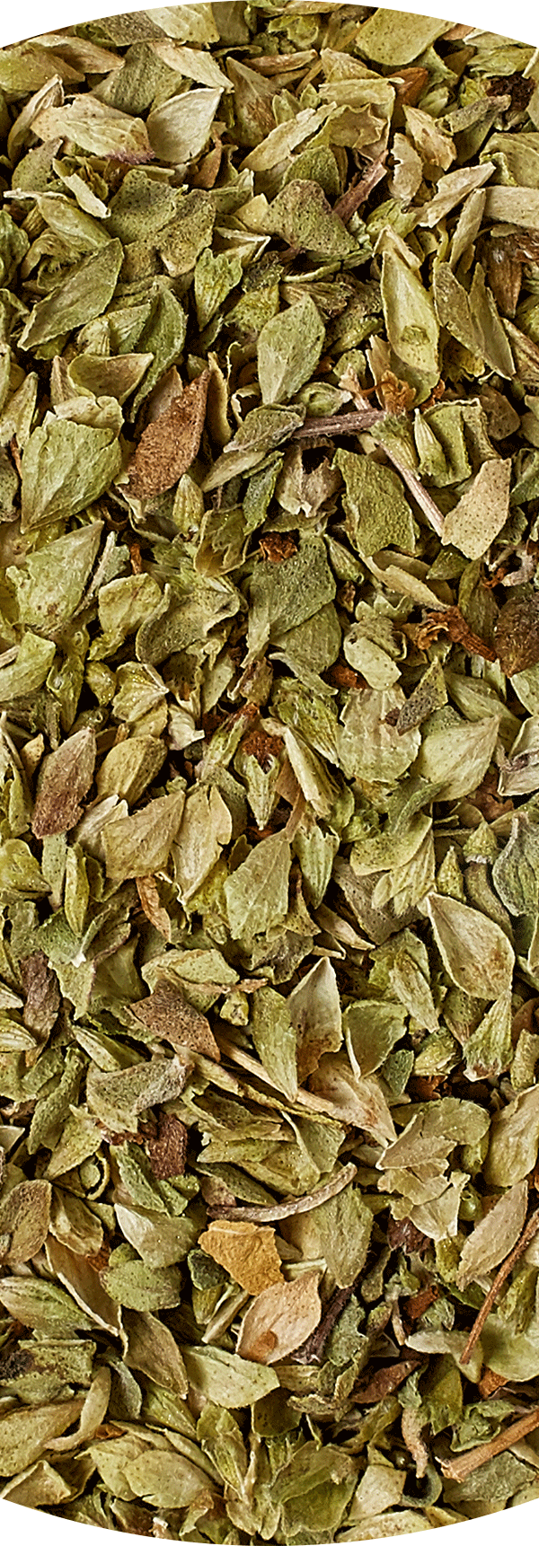Oregano