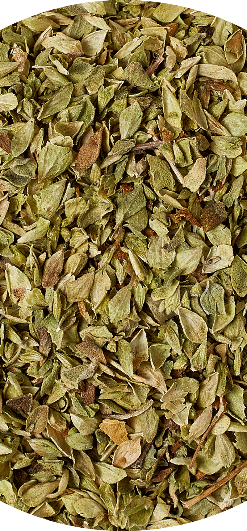 Oregano