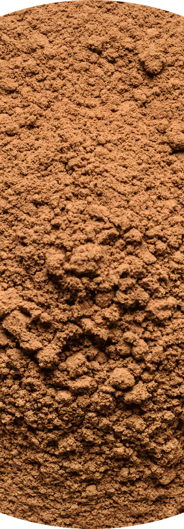 Organic Mushroom Blend