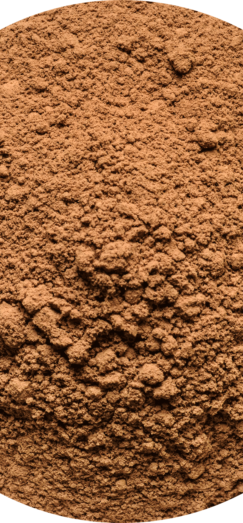 Organic Mushroom Blend