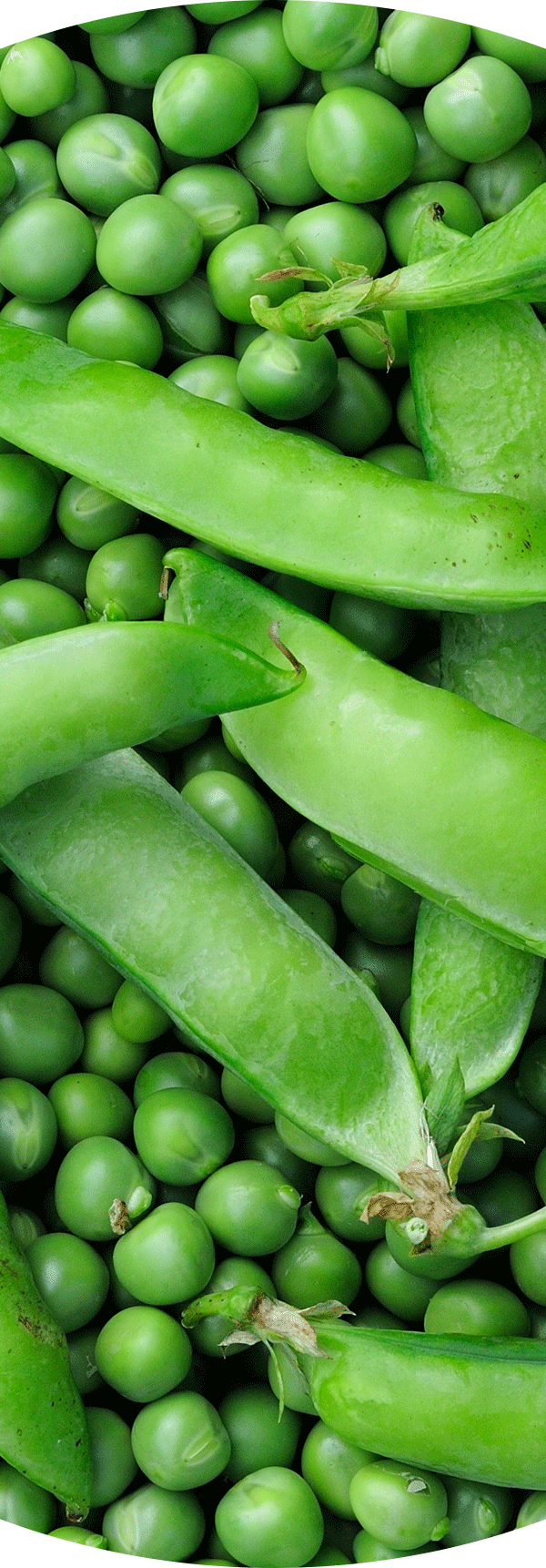 Peas.