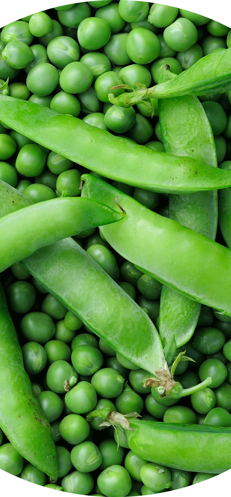 Peas.