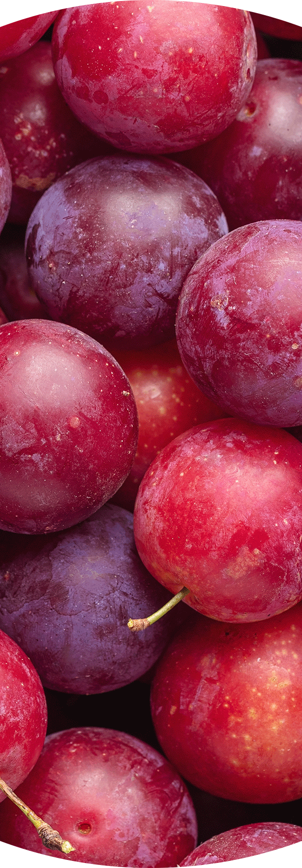 Plums