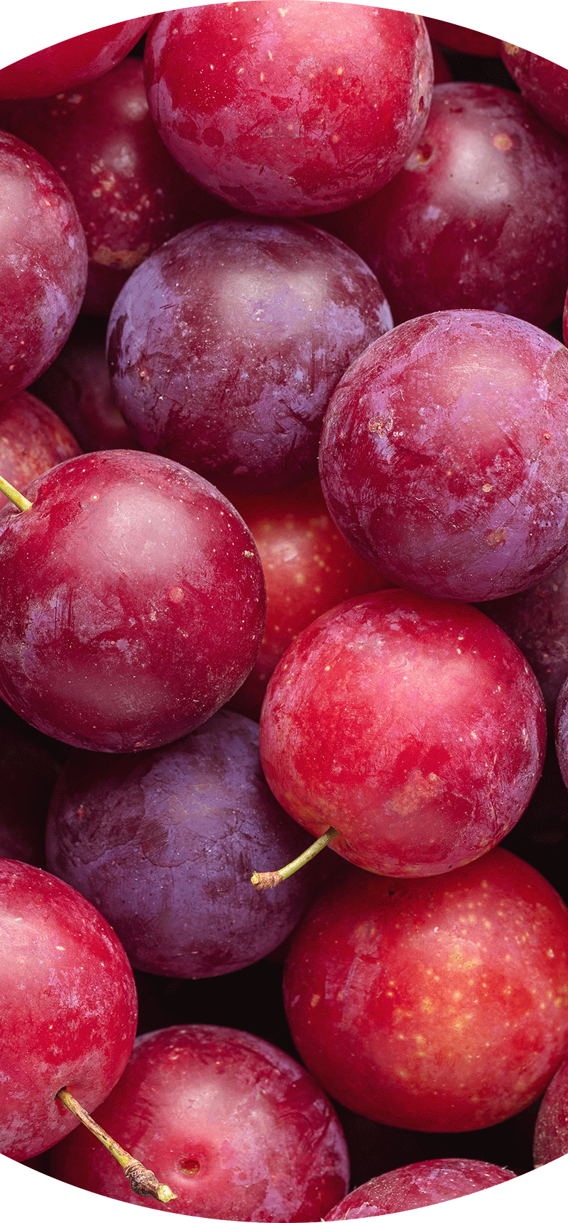 Plums