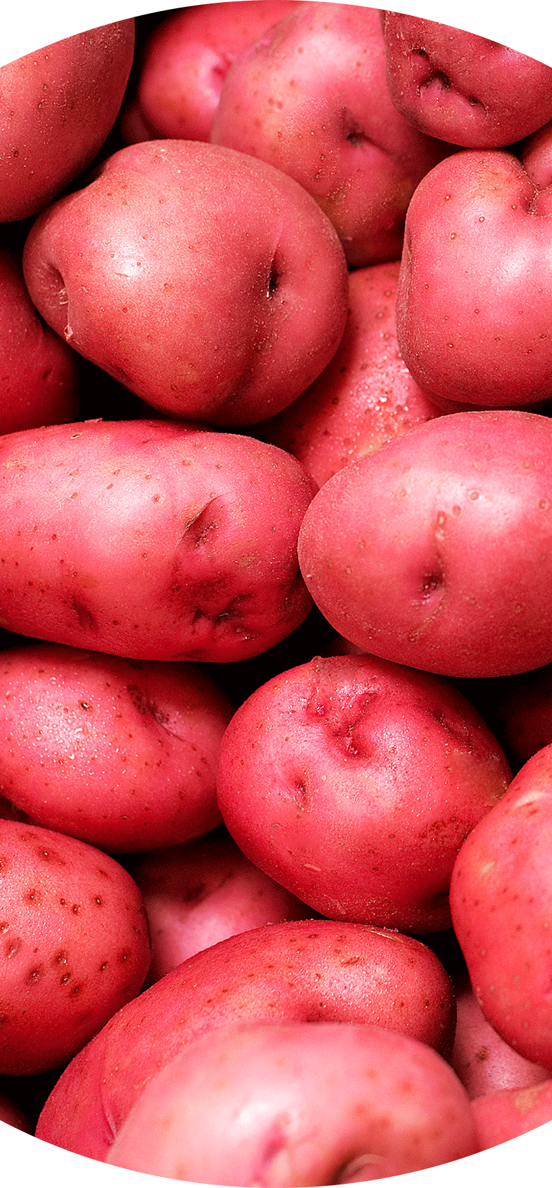 Red Potatos.