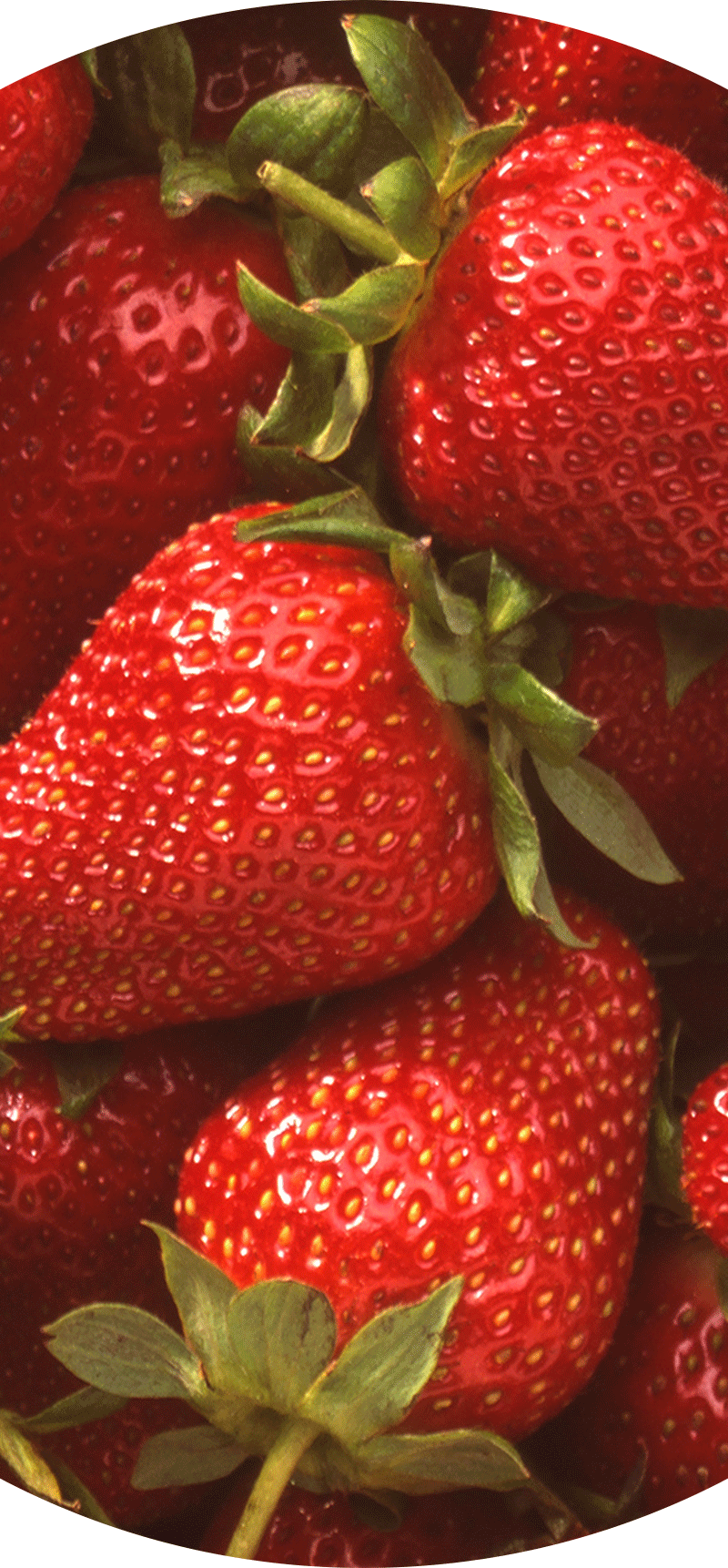 Strawberries