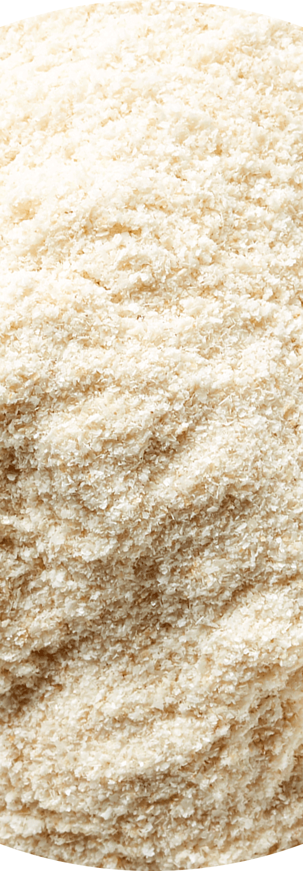 Sunflower Lecithin.
