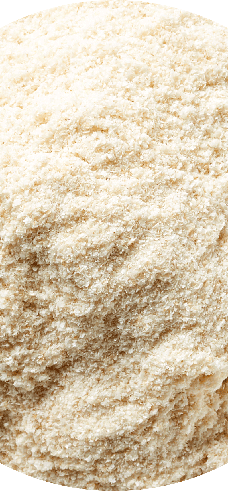 Sunflower Lecithin.