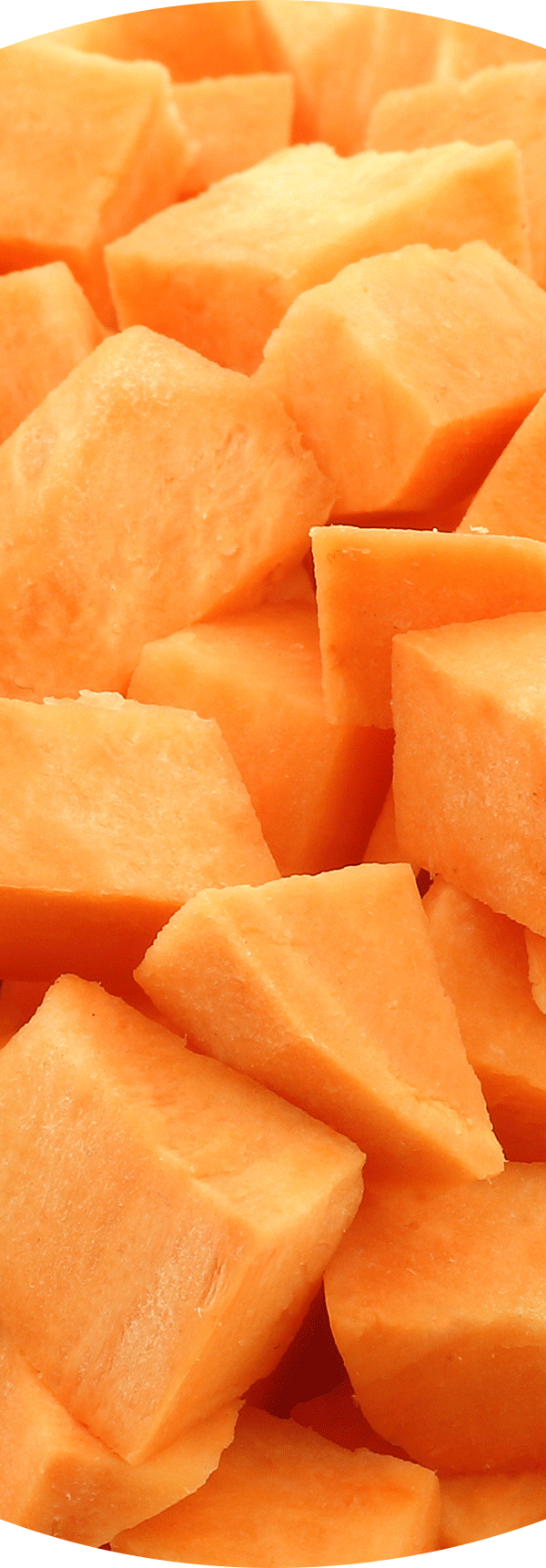 Sweet Potato.