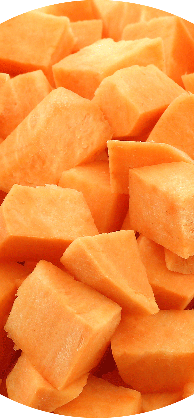 Sweet Potato.