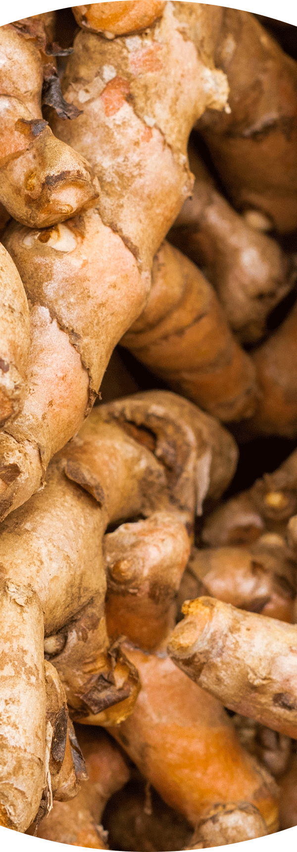 Turmeric