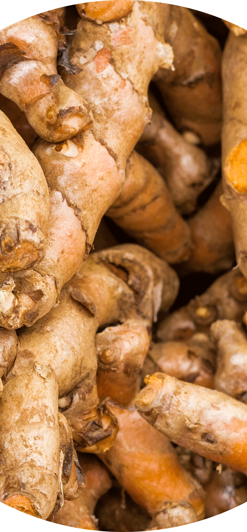 Turmeric