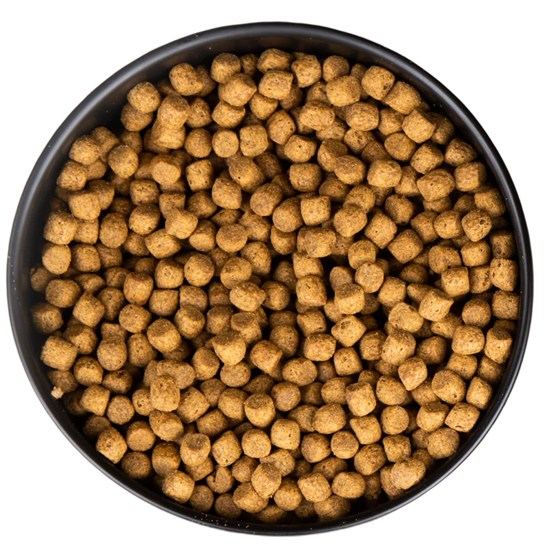 Black bowl filled with kibble