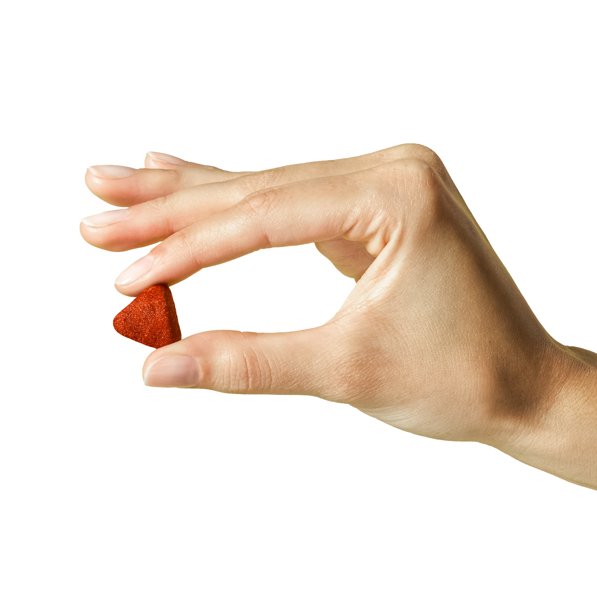 A hand holding Wild Earth Vegan Dog Supplement between their index and thumb fingers.