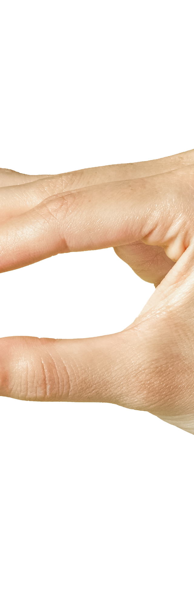 A hand holding Wild Earth Vegan Dog Supplement between their index and thumb fingers.