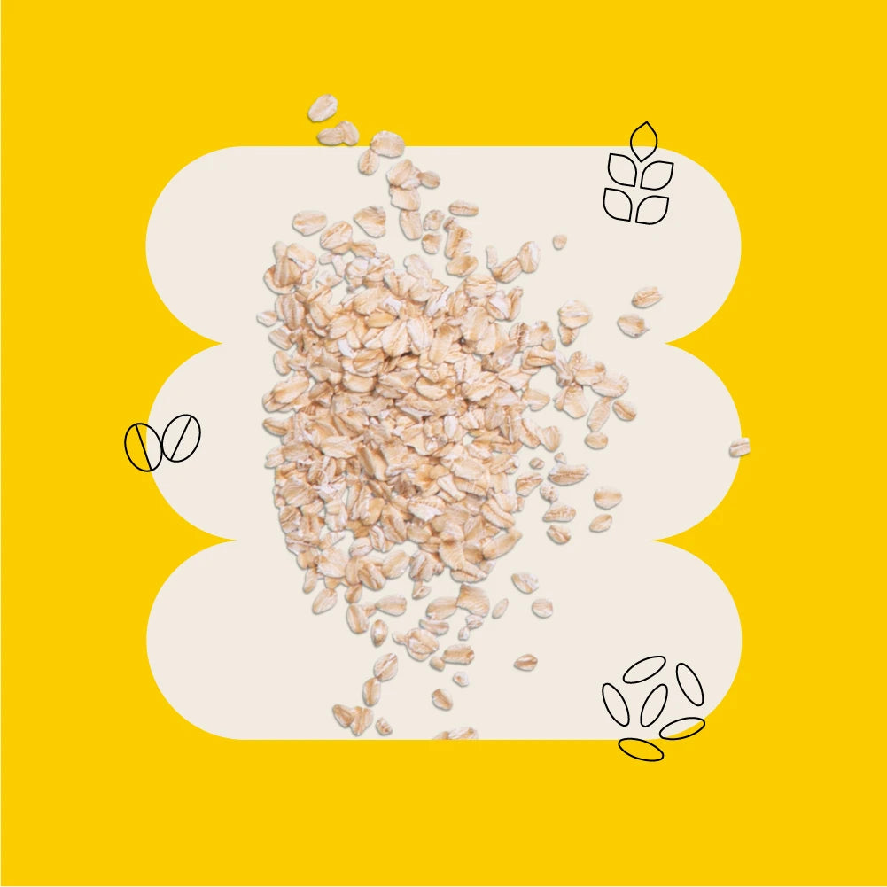 Wild Earth Pet Food