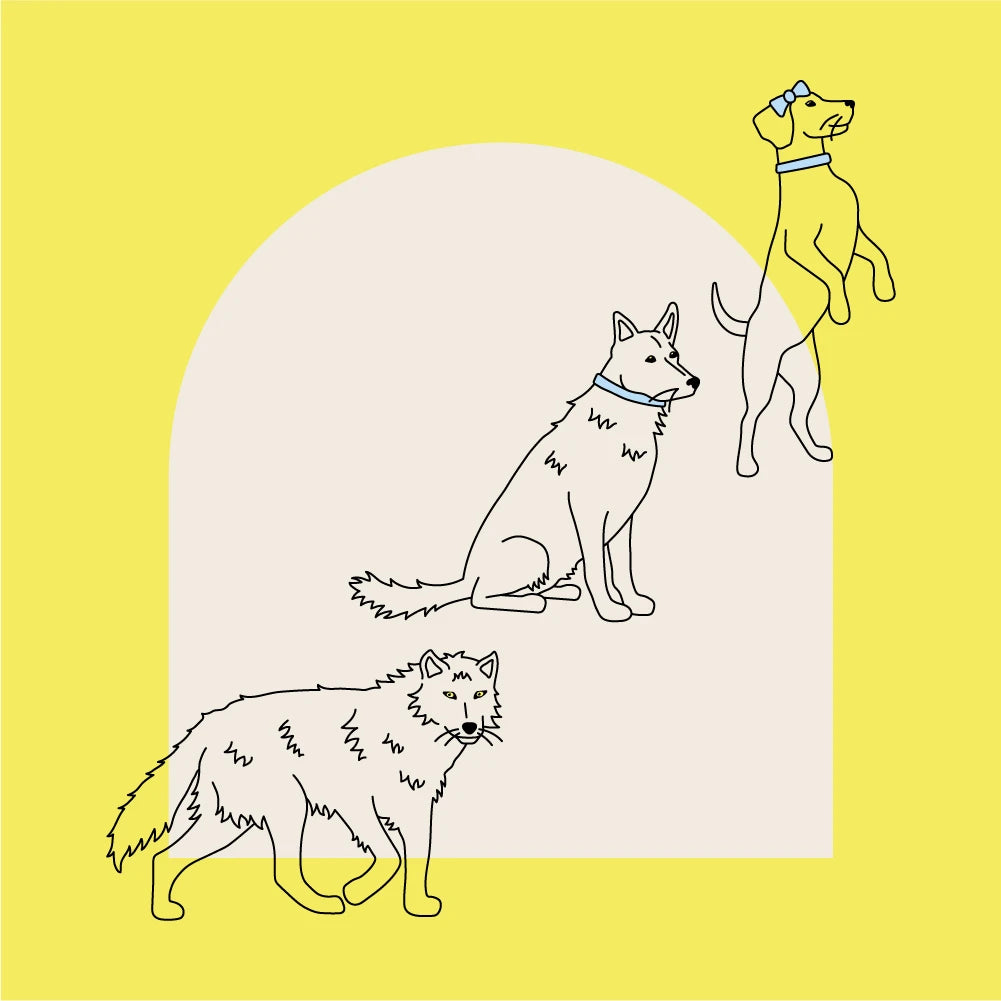 Wild Earth Pet Food