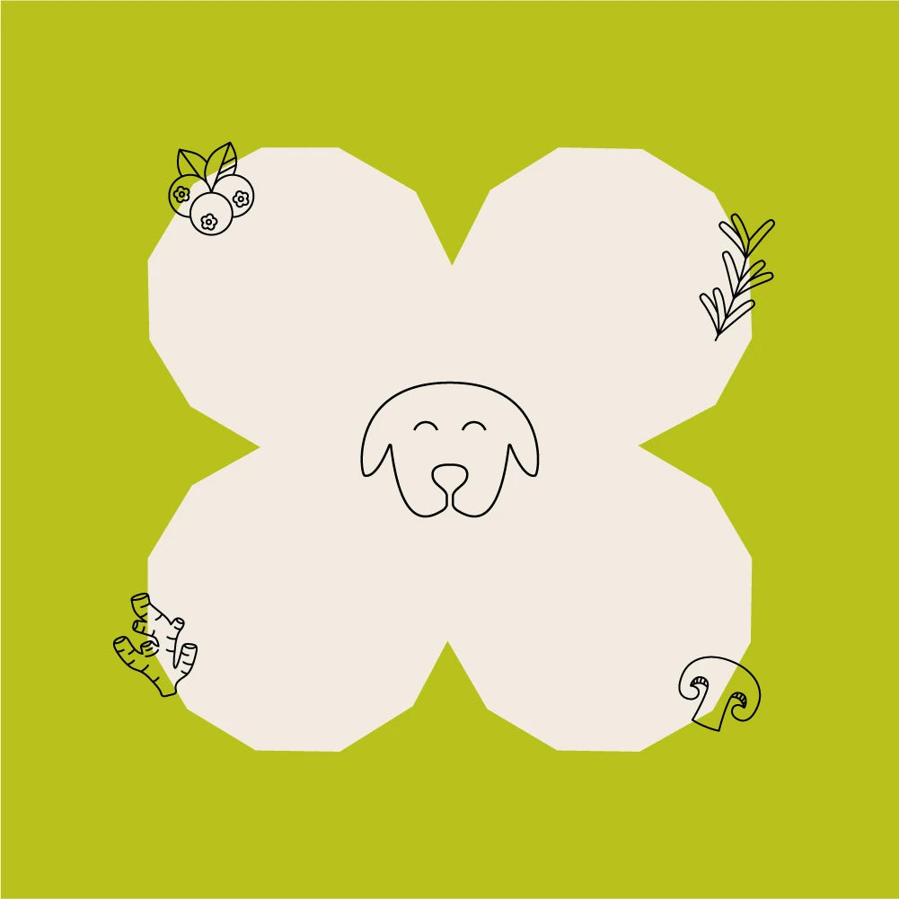 Wild Earth Pet Food