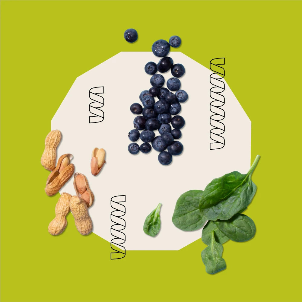 Wild Earth Pet Food