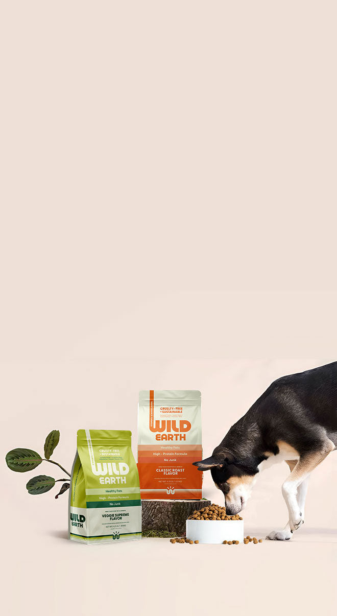 Dog eating from a bowl next to two bags of Wild Earth pet food on a beige background