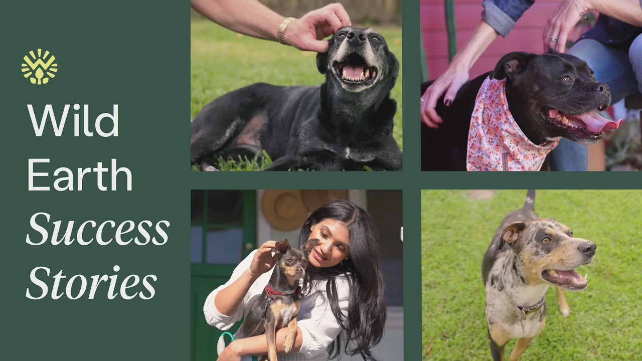 Wild Earth Pet Food