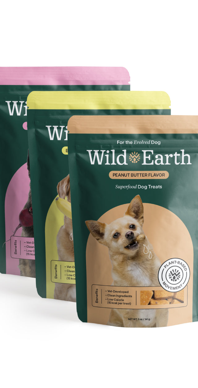 3 Pack - Superfood Dog Treats with Koji (5 oz per bag)