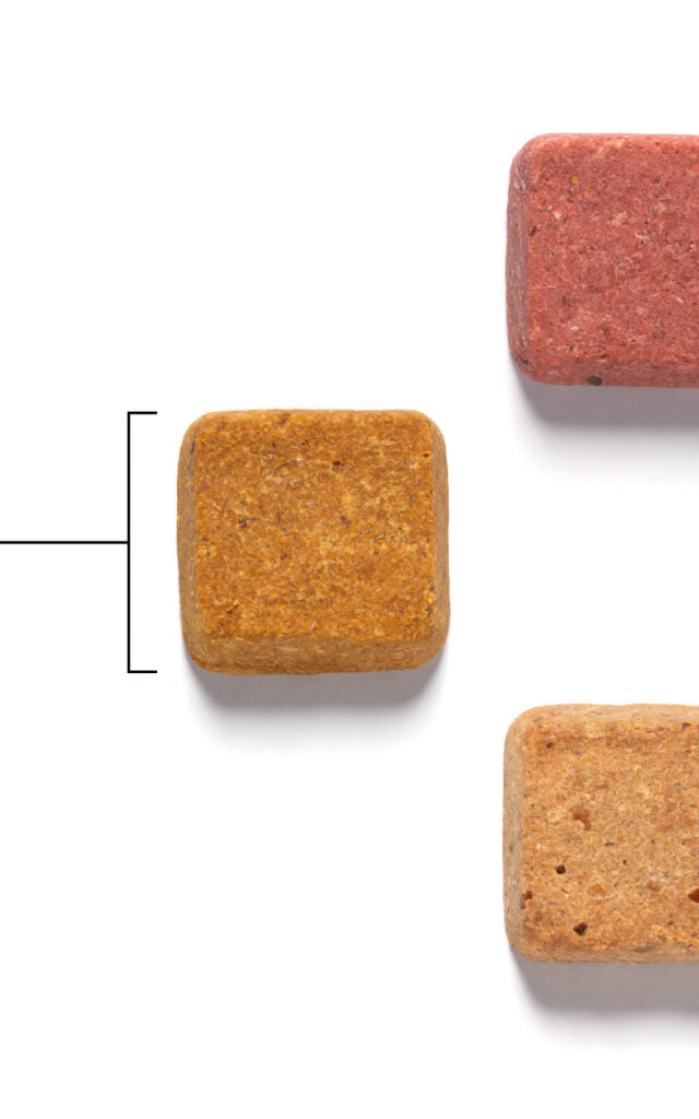 Superfood Dog Treats With Koji (5oz)