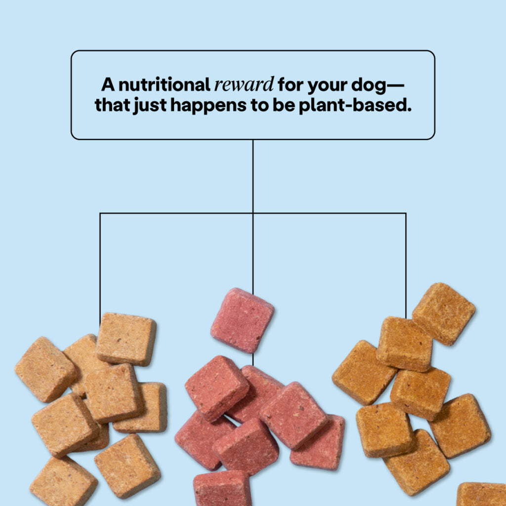Superfood Dog Treats With Koji (5oz)