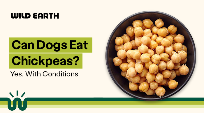 Can Dogs Eat Chickpeas?