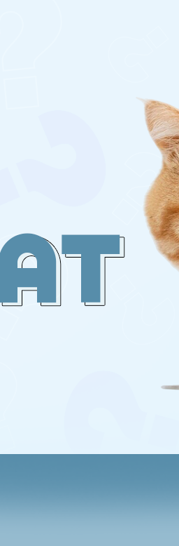 Orange and white cat sitting in front of a bowl of rice, with the text that says "Can Cats Eat Rice?".