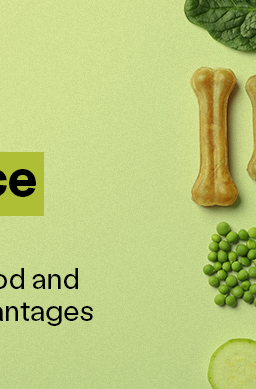 Wild Earth blog banner with dog kibble and vegetables on a table