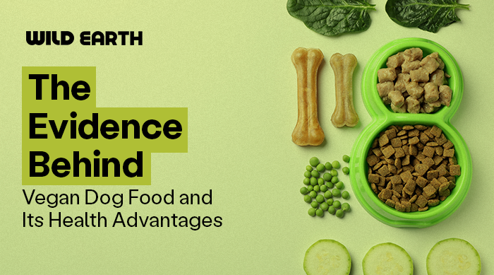 Wild Earth blog banner with dog kibble and vegetables on a table