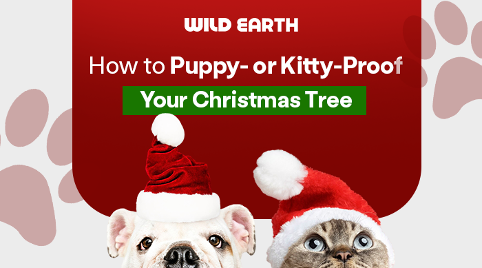 How to Puppy- or Kitty-Proof Your Christmas Tree