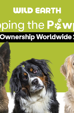 Wild Earth Blog Banner with three dogs and the text above them reads " Mapping the Pawprint : Dog ownership world wide 2025".