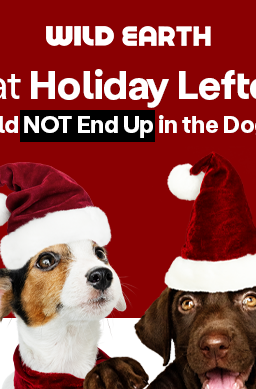 Wild Earth blog banner with two dogs wearing a santa hat