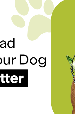 A dog holding a basket full of vegetables