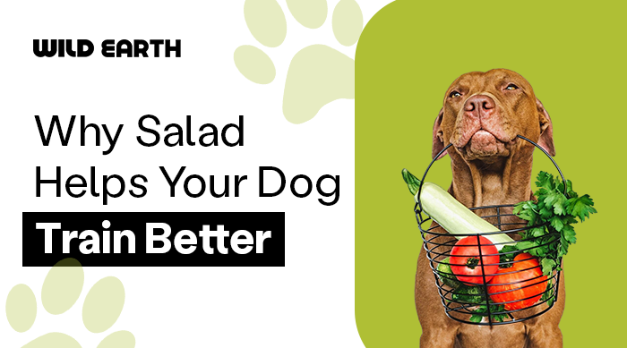 A dog holding a basket full of vegetables