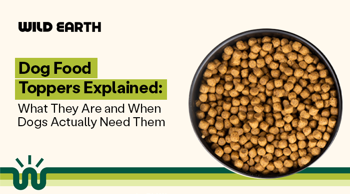 Dog Food Toppers Explained: What They Are and When Dogs Actually Need Them