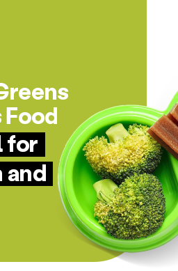 Dog food bowl with kibble and broccoli