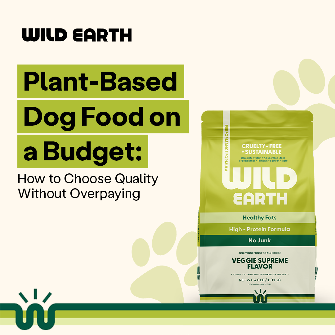 Wild Earth's plant-based high-protein, no junk dog food in veggie supreme flavor on budget 