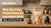 Why Our Dog Treats Share an Ingredient With Miso and Soy Sauce